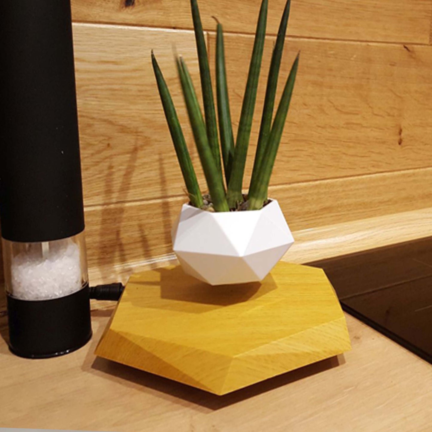 Floating Magnetic Levitating Plant Pot