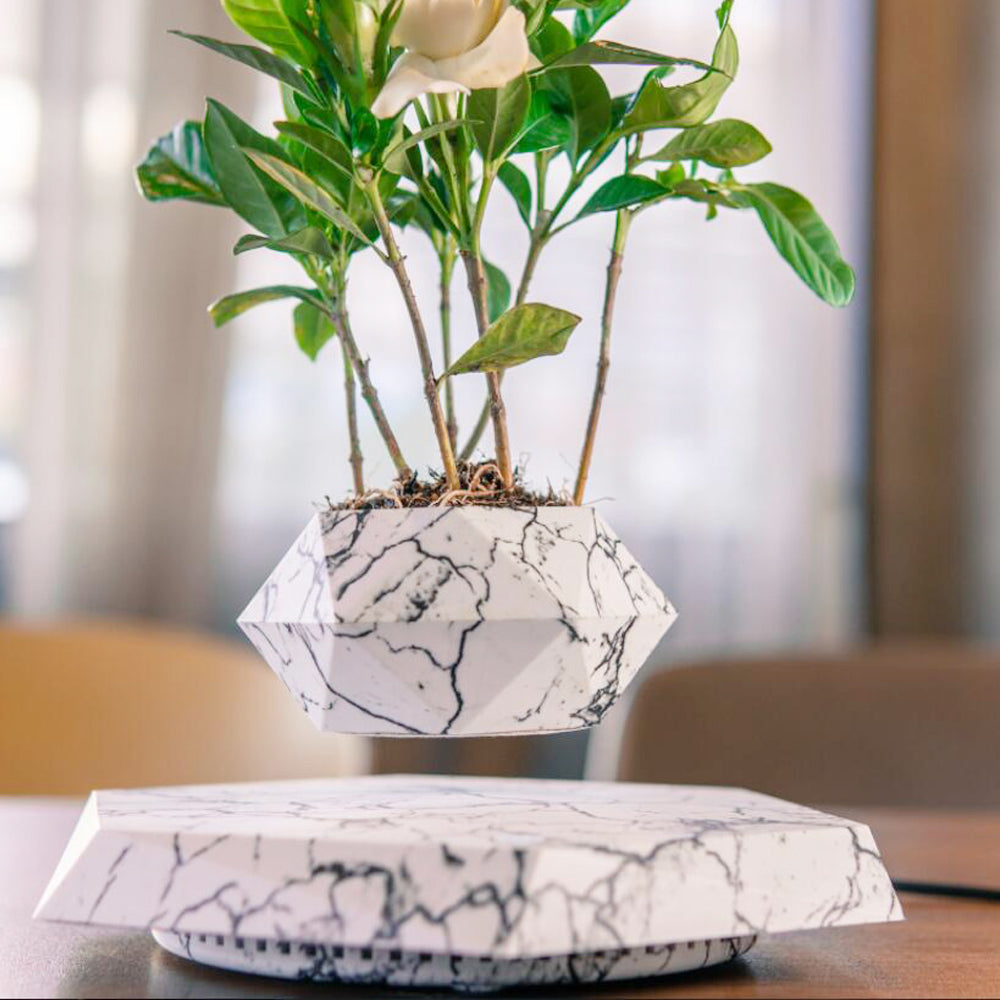 Floating Magnetic Levitating Plant Pot